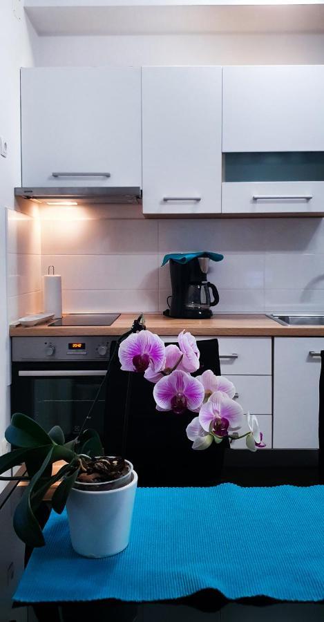 Radenka Zafron Apartment Vodice Esterno foto